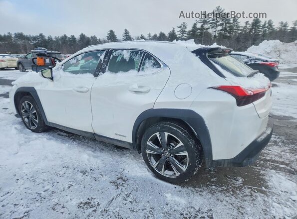 JTHL9JBH5M2050316 2021 LEXUS UX White Tył lewy