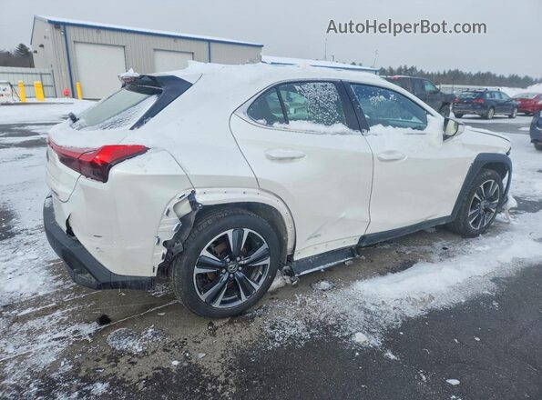 JTHL9JBH5M2050316 2021 LEXUS UX White Tył prawy