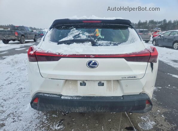 JTHL9JBH5M2050316 2021 LEXUS UX White Widok z tyłu