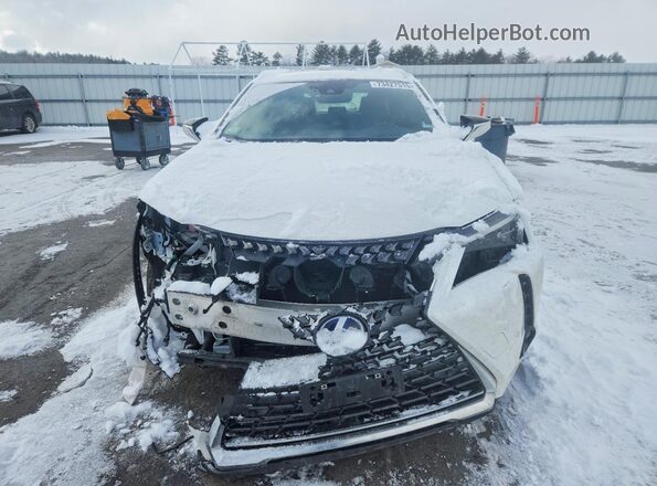 JTHL9JBH5M2050316 2021 LEXUS UX White Widok z przodu