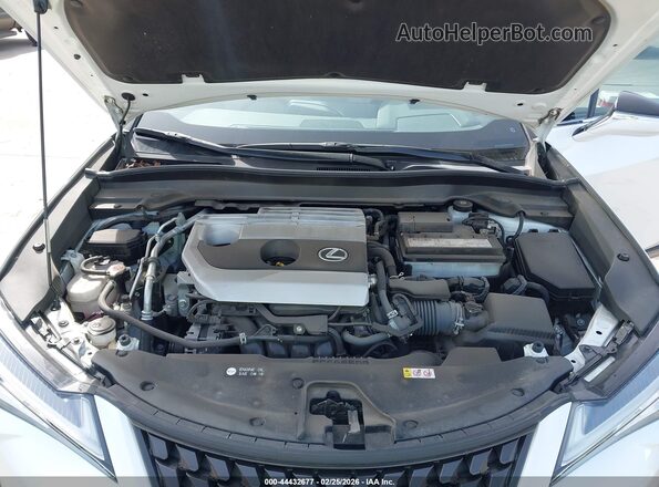 JTHP3JBH3N2055230 2022 LEXUS UX 200 White უკანა ხედი