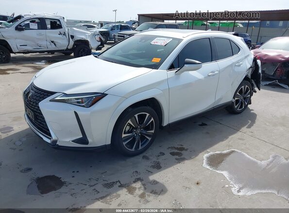 JTHP3JBH3N2055230 2022 LEXUS UX 200 White წინა მარცხენა ხედი სამი მეოთხედიდან