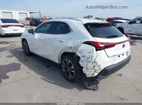 JTHP3JBH3N2055230 2022 LEXUS UX 200 White უკანა მარცხენა