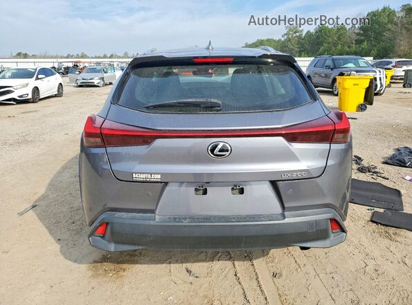 JTHP3JBH5L2023814 2020 LEXUS UX Gray Հետևի տեսք