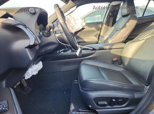 JTHP3JBH5L2023814 2020 LEXUS UX Gray Սալոնի դիմացի տեսք