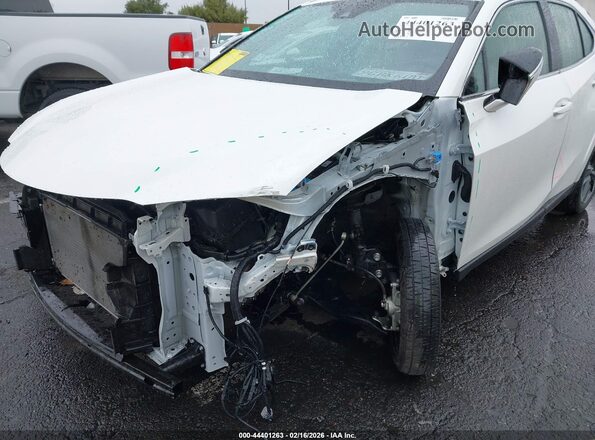 JTHP6JBH7P2159486 2023 LEXUS UX 250H White Vista frontal