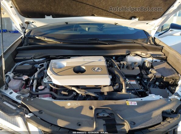 JTHP6JBH7R2192331 2024 LEXUS UX 250H White Вид ззаду