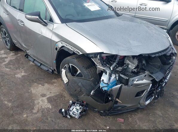 JTHP9JBH0L2033181 2020 LEXUS UX 250H Серый Вид спереди
