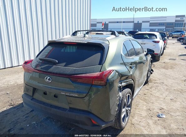 JTHP9JBH3R2077832 2024 LEXUS UX 250H Green Trasero derecho