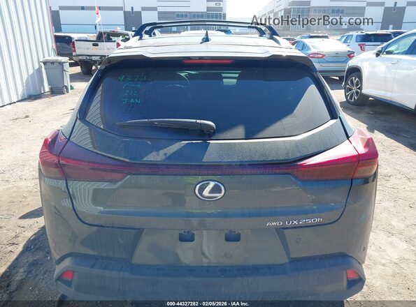 JTHP9JBH3R2077832 2024 LEXUS UX 250H Green 