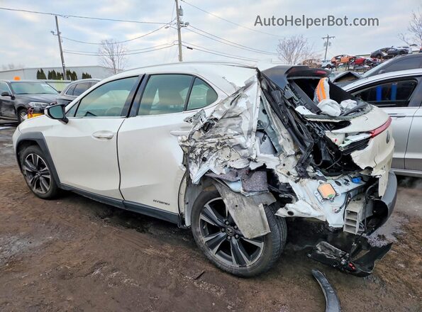 JTHP9JBH4L2025830 2020 LEXUS UX White Tył lewy