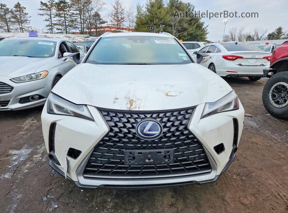 JTHP9JBH4L2025830 2020 LEXUS UX White Widok z przodu