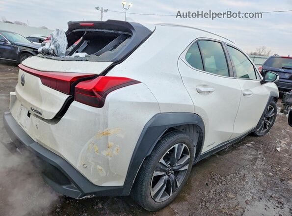 JTHP9JBH4L2025830 2020 LEXUS UX White Tył prawy