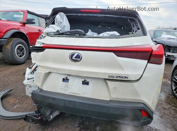 JTHP9JBH4L2025830 2020 LEXUS UX White Widok z tyłu
