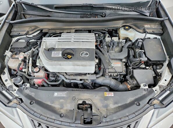 JTHP9JBH4L2025830 2020 LEXUS UX White Widok wnętrza z tyłu