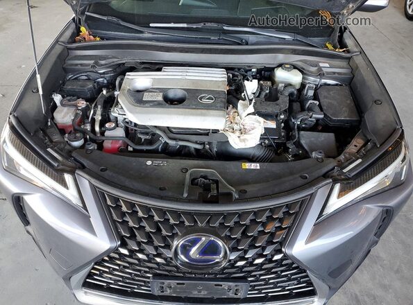 JTHP9JBH4L2026623 2020 LEXUS UX Gray Вид задньої частини салону