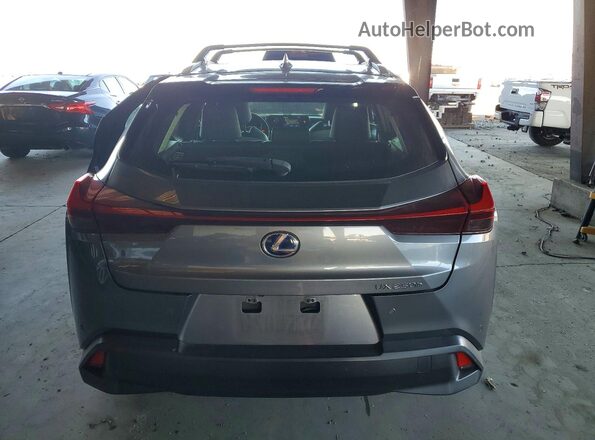 JTHP9JBH4L2026623 2020 LEXUS UX Gray Вид ззаду