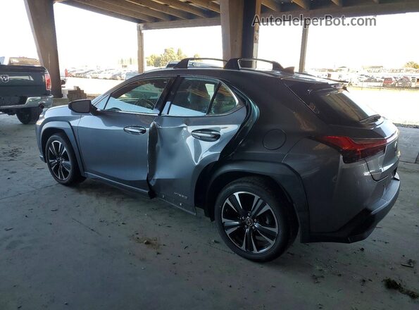 JTHP9JBH4L2026623 2020 LEXUS UX Gray Задня ліва чверть