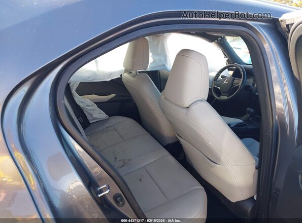 JTHP9JBH7M2042137 2021 LEXUS UX 250H Gray Вид наклейки з VIN-кодом