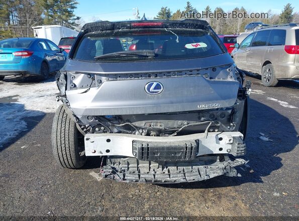 JTHP9JBH7M2042137 2021 LEXUS UX 250H Gray Вид спереду