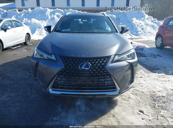JTHP9JBH7M2042137 2021 LEXUS UX 250H Gray Вид задньої частини салону