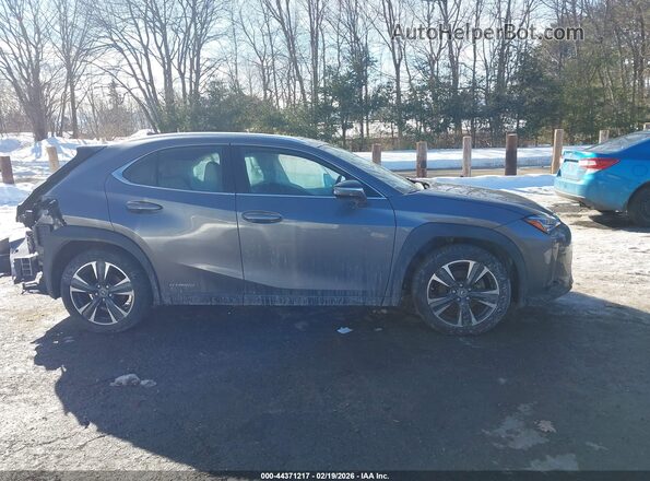 JTHP9JBH7M2042137 2021 LEXUS UX 250H Gray Панорамний вид салону 360°