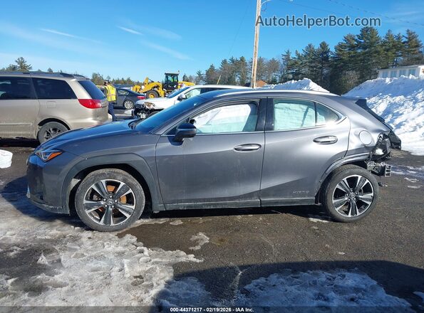 JTHP9JBH7M2042137 2021 LEXUS UX 250H Gray 
