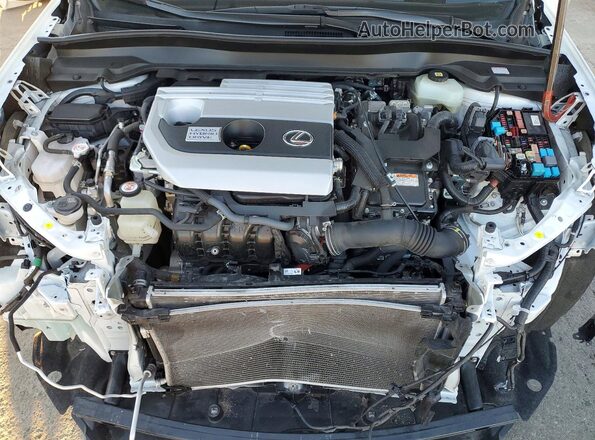 JTHP9JBH7M2048035 2021 LEXUS UX White Շարժիչի բաժամունքի տեսք