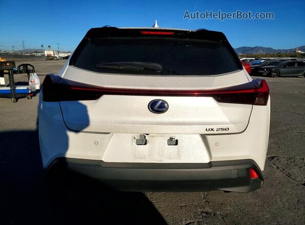 JTHP9JBH7M2048035 2021 LEXUS UX White Հետևի տեսք