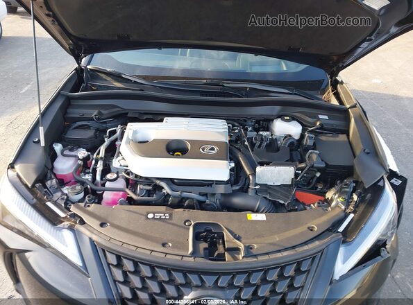 JTHP9JBH8R2076675 2024 LEXUS UX 250H Black Вид ззаду