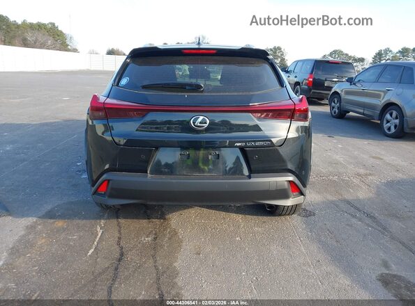 JTHP9JBH8R2076675 2024 LEXUS UX 250H Black 