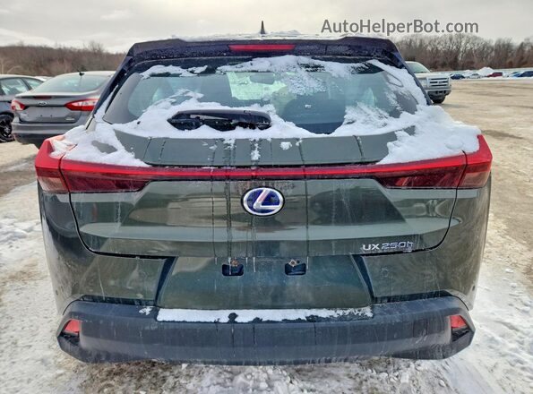 JTHP9JBH9L2036001 2020 LEXUS UX Green Հետևի տեսք