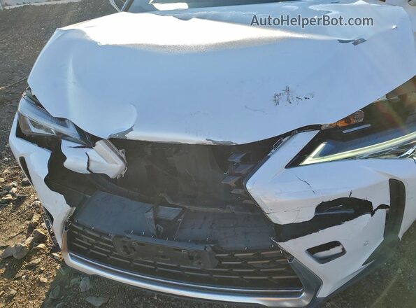 JTHP9JBHXL2035004 2020 LEXUS UX White Սալոնի հետևի տեսք