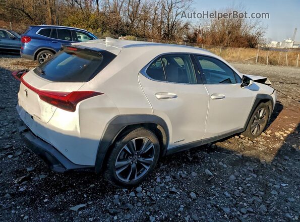 JTHP9JBHXL2035004 2020 LEXUS UX White Հետևի աջ