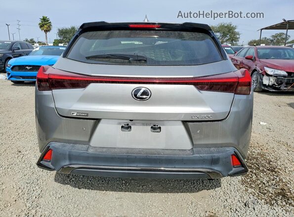 JTHR3JBHXL2021131 2020 LEXUS UX Gray Widok z tyłu