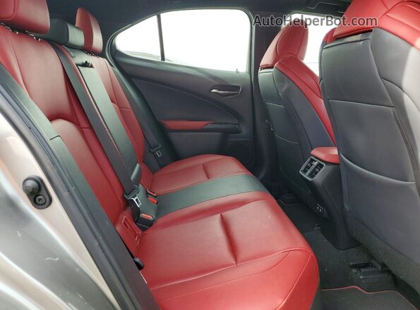 JTHR3JBHXL2021131 2020 LEXUS UX Gray Widok tylnych siedzeń