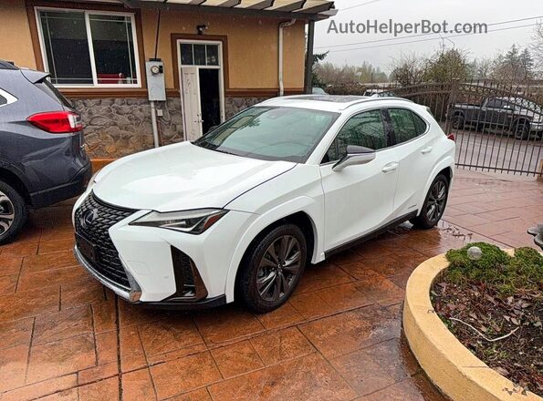 JTHR9JBH0M2045177 2021 LEXUS UX Белый Задняя правая четверть