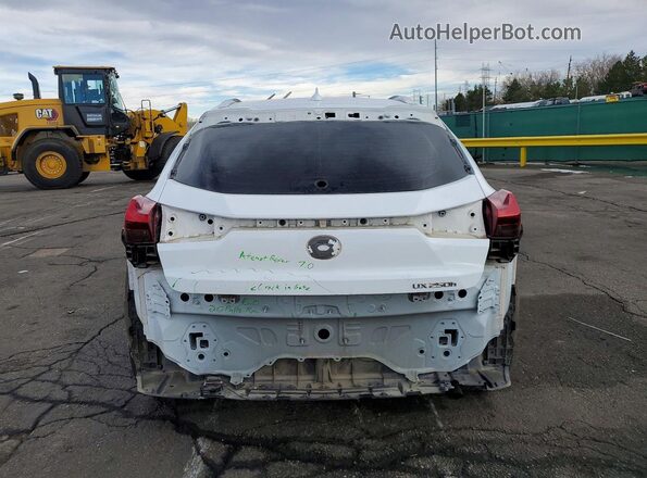 JTHR9JBH2L2032090 2020 LEXUS UX White 