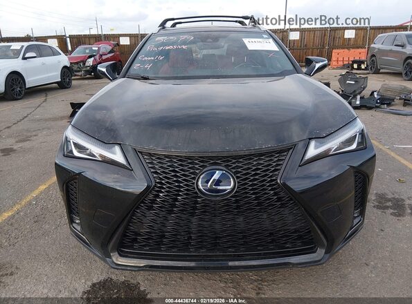 JTHR9JBH2M2039557 2021 LEXUS UX 250H Black უკანა სალონის ხედი