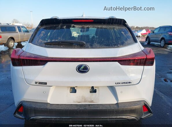 JTHR9JBH4L2025710 2020 LEXUS UX 250H White 