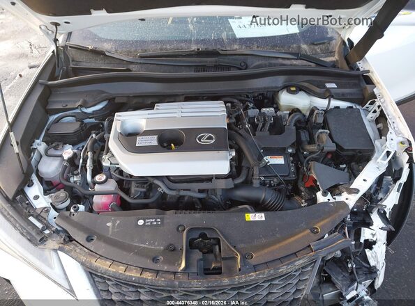 JTHR9JBH4L2025710 2020 LEXUS UX 250H White Vista trasera