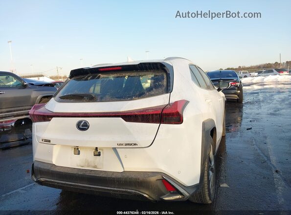 JTHR9JBH4L2025710 2020 LEXUS UX 250H White Trasero derecho
