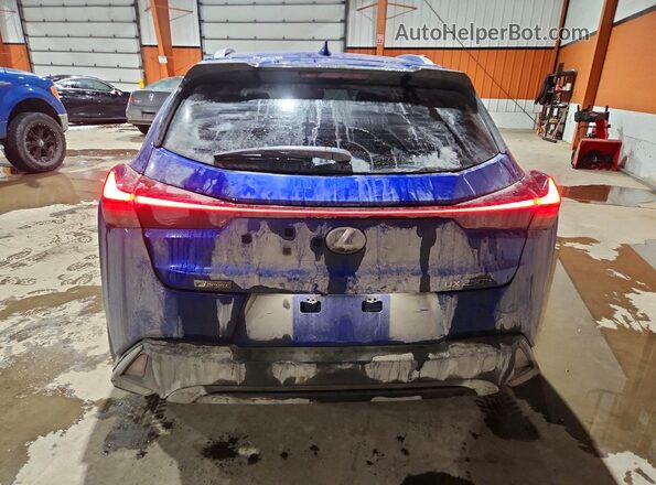 JTHR9JBH4M2047806 2021 LEXUS UX Blue Вид ззаду