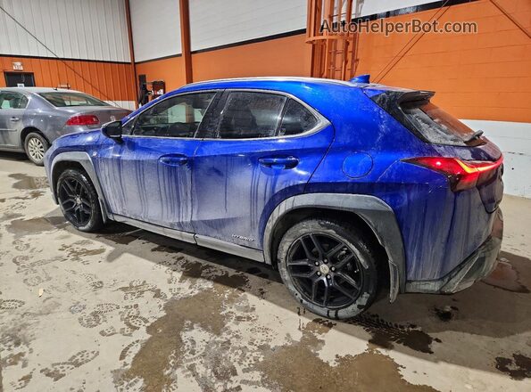 JTHR9JBH4M2047806 2021 LEXUS UX Blue Задня ліва чверть