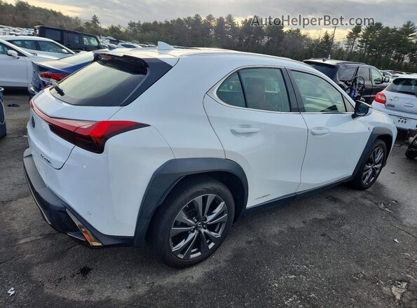 JTHR9JBH5M2046468 2021 LEXUS UX Белый Задняя правая четверть