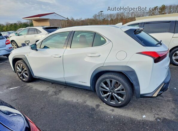 JTHR9JBH5M2046468 2021 LEXUS UX Белый Задняя левая четверть