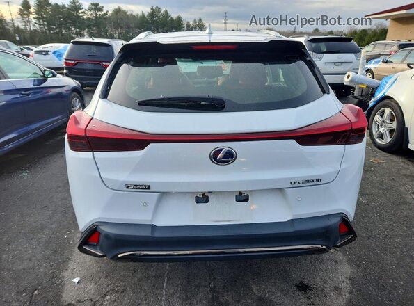 JTHR9JBH5M2046468 2021 LEXUS UX Белый Вид сзади