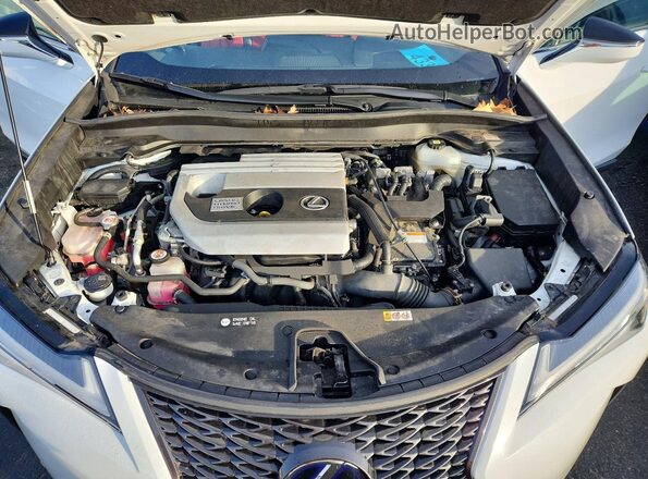 JTHR9JBH5M2046468 2021 LEXUS UX Белый Вид задней части салона