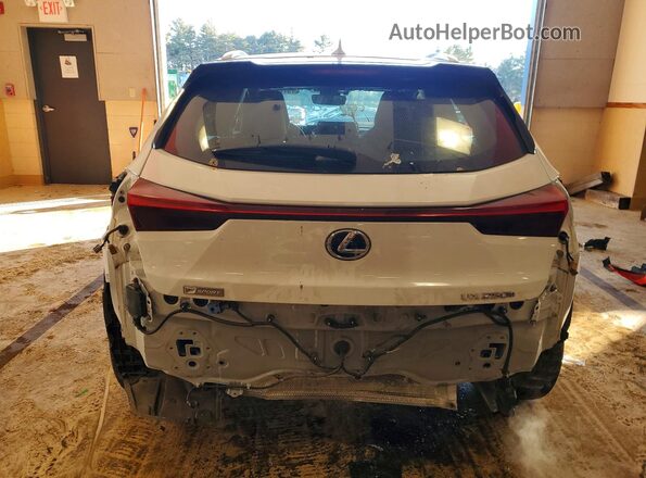 JTHR9JBH8M2038669 2021 LEXUS UX White Вид ззаду