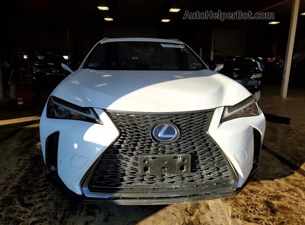 JTHR9JBH8M2038669 2021 LEXUS UX White Вид спереду